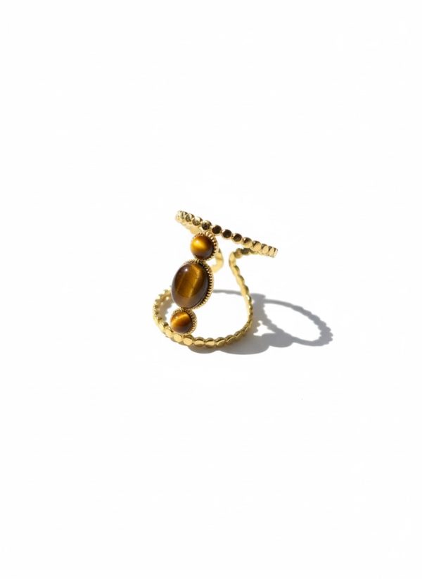 IMG_9207 Bague LEY