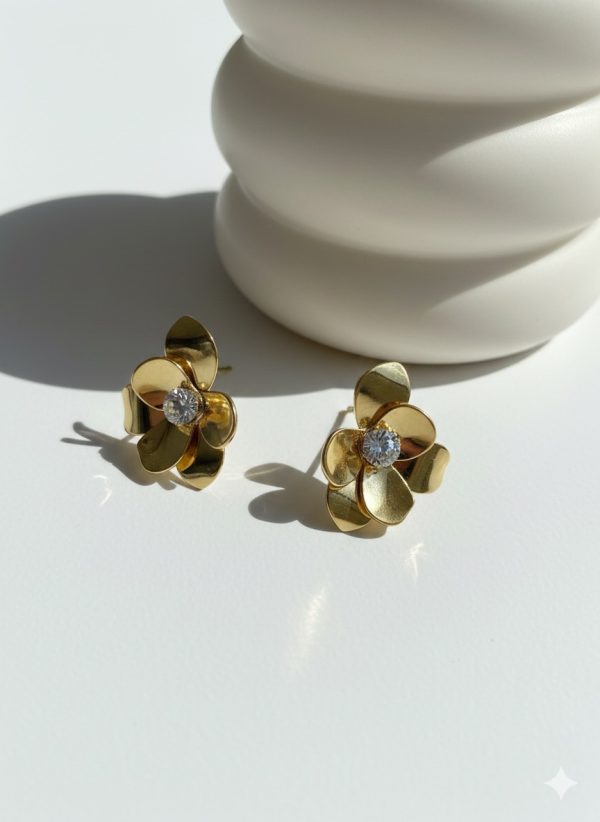 Boucles ALIZ